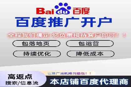 SEM代理助力品牌：案例解析与优化策略